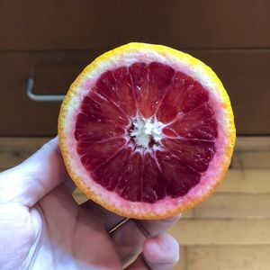 Meet your Posher, Rebeca